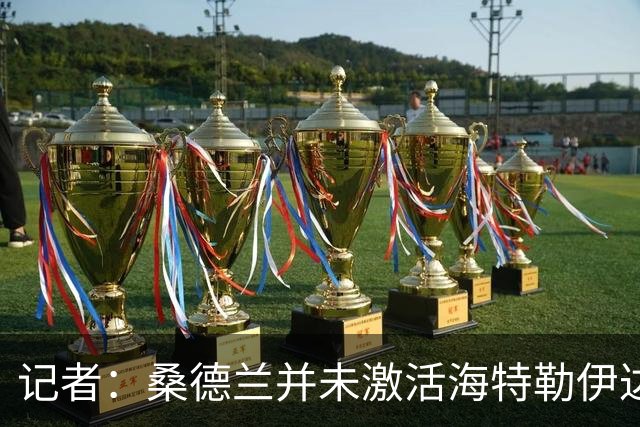 记者：桑德兰并未激活海特勒伊达的2300万欧买断条款，打算压价